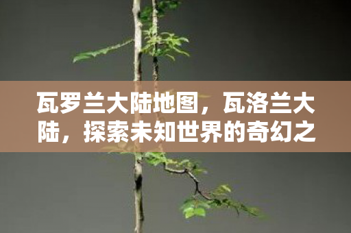 瓦罗兰大陆地图，瓦洛兰大陆，探索未知世界的奇幻之旅