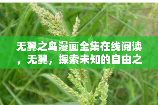 无翼之鸟漫画全集在线阅读，无翼，探索未知的自由之旅