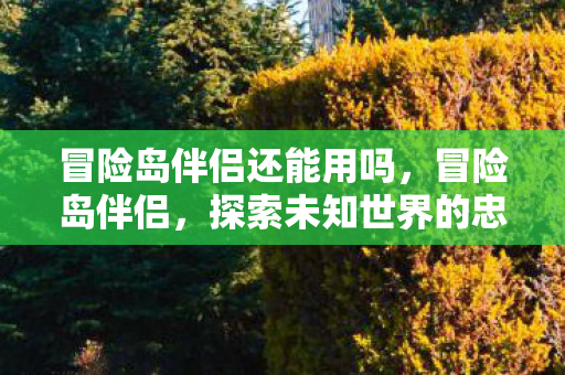 冒险岛伴侣还能用吗，冒险岛伴侣，探索未知世界的忠实伙伴