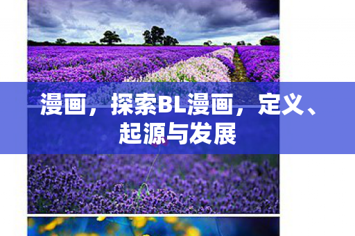 漫画,探索BL漫画,定义、起源与发展 漫画,探索BL漫画,定义、起源与发展
