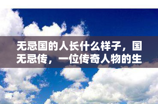无忌国的人长什么样子，国无忌传，一位传奇人物的生平与贡献