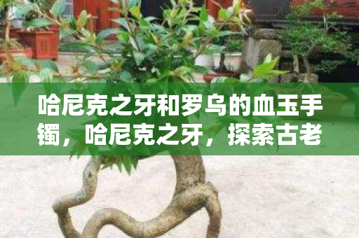 哈尼克之牙和罗乌的血玉手镯,哈尼克之牙,探索古老传说的神秘遗物 哈尼克之牙和罗乌的血玉手镯,哈尼克之牙,探索古老传说的神秘遗物