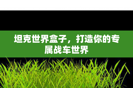 坦克世界盒子，打造你的专属战车世界