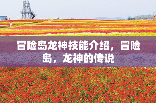 冒险岛龙神技能介绍，冒险岛，龙神的传说