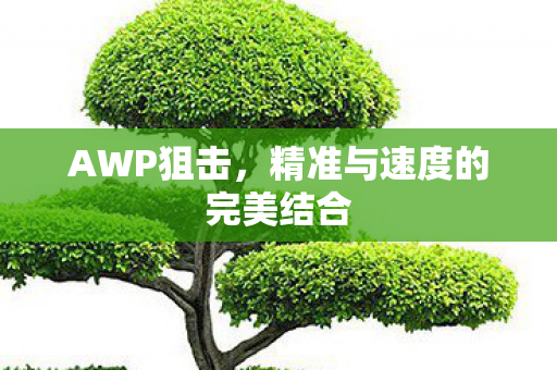AWP狙击，精准与速度的完美结合