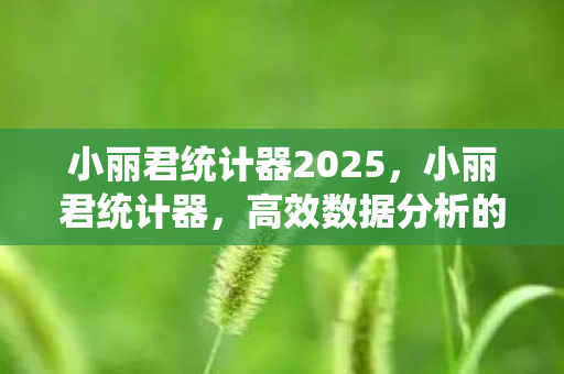 高效数据分析的得力助手图片