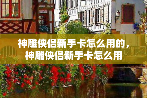 神雕侠侣新手卡怎么用的，神雕侠侣新手卡怎么用