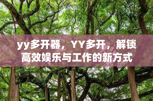 yy多开器，YY多开，解锁高效娱乐与工作的新方式