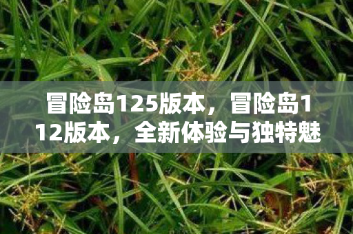 冒险岛125版本，冒险岛112版本，全新体验与独特魅力