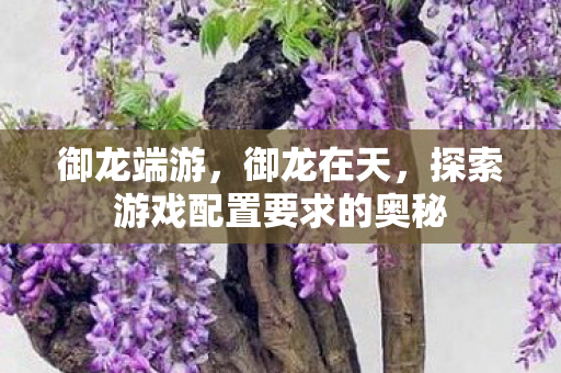 御龙端游，御龙在天，探索游戏配置要求的奥秘