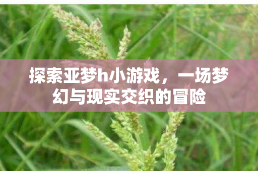 探索亚梦h小游戏,一场梦幻与现实交织的冒险 探索亚梦h小游戏,一场梦幻与现实交织的冒险