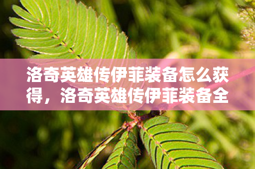 洛奇英雄传伊菲装备怎么获得,洛奇英雄传伊菲装备全解析,打造最强法师的必备指南 洛奇英雄传伊菲装备怎么获得,洛奇英雄传伊菲装备全解析,打造最强法师的必备指南