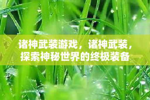 诸神武装游戏，诸神武装，探索神秘世界的终极装备