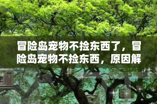 冒险岛宠物不捡东西了，冒险岛宠物不捡东西，原因解析与应对策略