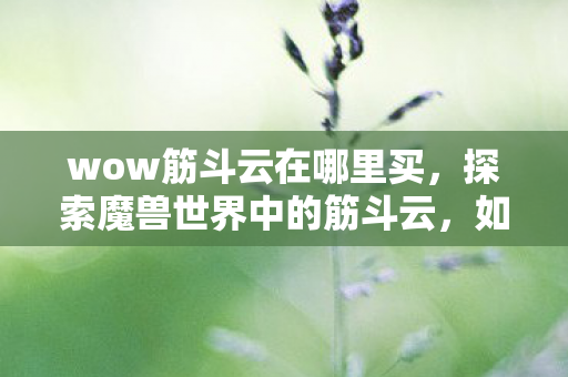wow筋斗云在哪里买，探索魔兽世界中的筋斗云，如何合法获取这一炫酷坐骑
