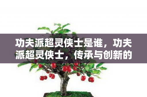 功夫派超灵侠士是谁，功夫派超灵侠士，传承与创新的武侠世界