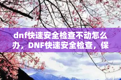 dnf快速安全检查不动怎么办，DNF快速安全检查，保障账号安全，远离盗号风险