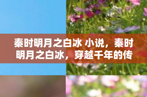 秦时明月之白冰 小说，秦时明月之白冰，穿越千年的传奇故事