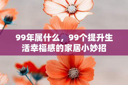 99年属什么,99个提升生活幸福感的家居小妙招 99年属什么,99个提升生活幸福感的家居小妙招