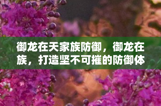 御龙在天家族防御，御龙在族，打造坚不可摧的防御体系