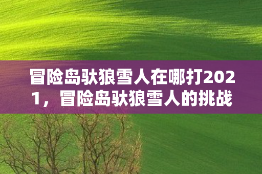 冒险岛驮狼雪人在哪打2021，冒险岛驮狼雪人的挑战地点及攻略（2022版）