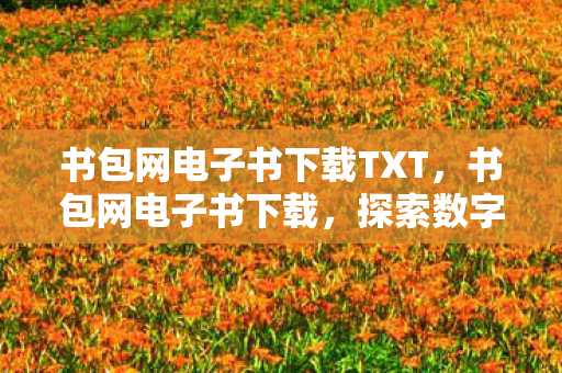 书包网电子书下载TXT,书包网电子书下载,探索数字阅读的便捷与乐趣 书包网电子书下载TXT,书包网电子书下载,探索数字阅读的便捷与乐趣