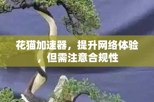 花猫加速器,提升网络体验,但需注意合规性 花猫加速器,提升网络体验,但需注意合规性