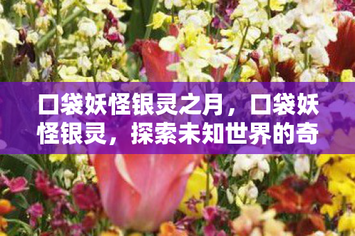 口袋妖怪银灵之月，口袋妖怪银灵，探索未知世界的奇幻之旅