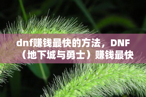 dnf赚钱最快的方法,DNF(地下城与勇士)赚钱最快的方法 dnf赚钱最快的方法,DNF(地下城与勇士)赚钱最快的方法
