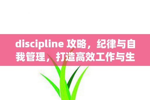discipline 攻略,纪律与自我管理,打造高效工作与生活的秘诀 discipline 攻略,纪律与自我管理,打造高效工作与生活的秘诀