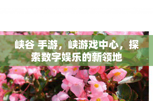 峡谷 手游，峡游戏中心，探索数字娱乐的新领地