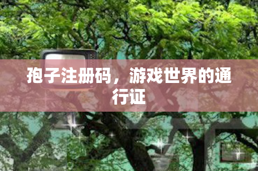 孢子注册码，游戏世界的通行证