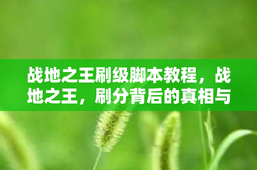 战地之王刷级脚本教程，战地之王，刷分背后的真相与反思