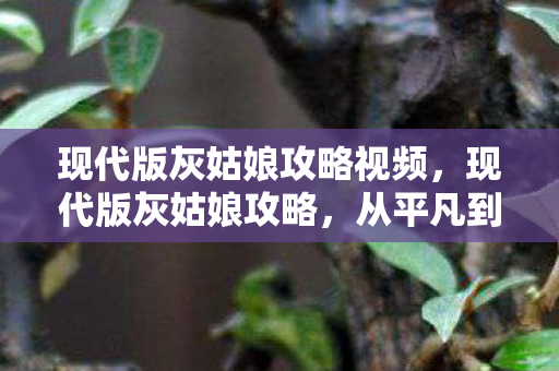 现代版灰姑娘攻略视频,现代版灰姑娘攻略,从平凡到非凡的蜕变之旅 现代版灰姑娘攻略视频,现代版灰姑娘攻略,从平凡到非凡的蜕变之旅