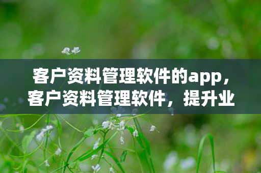 客户资料管理软件的app,客户资料管理软件,提升业务效率的关键工具 客户资料管理软件的app,客户资料管理软件,提升业务效率的关键工具