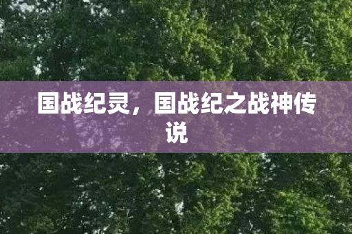 国战纪灵，国战纪之战神传说