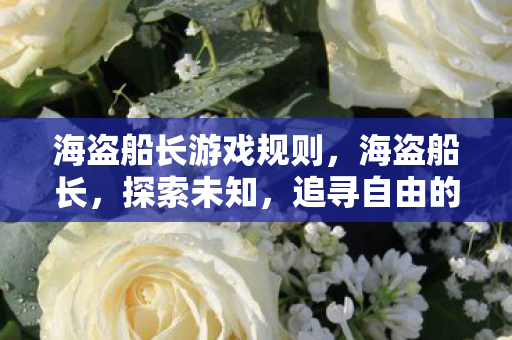 海盗船长游戏规则，海盗船长，探索未知，追寻自由的航海传奇