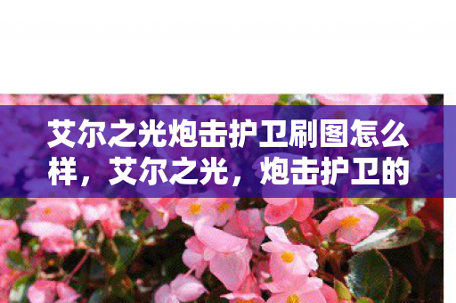 艾尔之光炮击护卫刷图怎么样,艾尔之光,炮击护卫的荣耀与战术解析 艾尔之光炮击护卫刷图怎么样,艾尔之光,炮击护卫的荣耀与战术解析