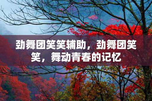 劲舞团笑笑辅助,劲舞团笑笑,舞动青春的记忆 劲舞团笑笑辅助,劲舞团笑笑,舞动青春的记忆