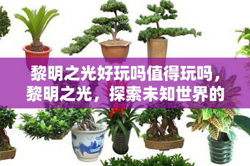 黎明之光好玩吗值得玩吗,黎明之光,探索未知世界的奇妙之旅 黎明之光好玩吗值得玩吗,黎明之光,探索未知世界的奇妙之旅