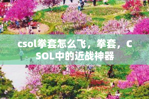 csol拳套怎么飞,拳套,CSOL中的近战神器 csol拳套怎么飞,拳套,CSOL中的近战神器