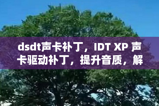 dsdt声卡补丁,IDT XP 声卡驱动补丁,提升音质,解决兼容性问题 dsdt声卡补丁,IDT XP 声卡驱动补丁,提升音质,解决兼容性问题