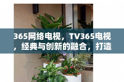 365网络电视，TV365电视，经典与创新的融合，打造家庭娱乐新体验