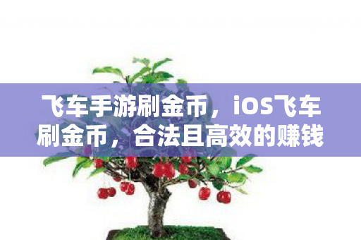 飞车手游刷金币,iOS飞车刷金币,合法且高效的赚钱攻略 飞车手游刷金币,iOS飞车刷金币,合法且高效的赚钱攻略