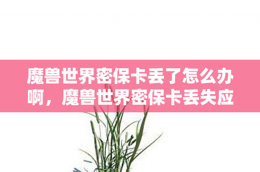 魔兽世界密保卡丢了怎么办啊,魔兽世界密保卡丢失应对策略 魔兽世界密保卡丢了怎么办啊,魔兽世界密保卡丢失应对策略