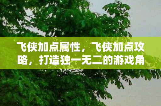飞侠加点属性，飞侠加点攻略，打造独一无二的游戏角色