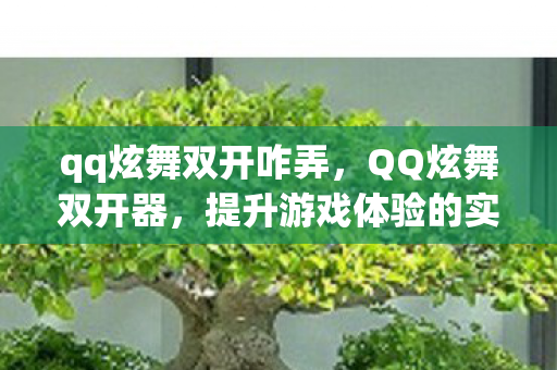 qq炫舞双开咋弄,QQ炫舞双开器,提升游戏体验的实用工具 qq炫舞双开咋弄,QQ炫舞双开器,提升游戏体验的实用工具