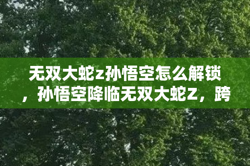 无双大蛇z孙悟空怎么解锁,孙悟空降临无双大蛇Z,跨界神话的震撼再续 无双大蛇z孙悟空怎么解锁,孙悟空降临无双大蛇Z,跨界神话的震撼再续