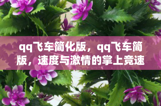 qq飞车简化版,qq飞车简版,速度与激情的掌上竞速 qq飞车简化版,qq飞车简版,速度与激情的掌上竞速