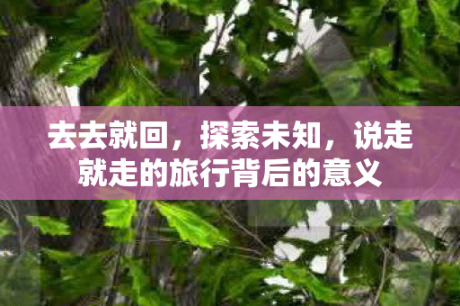 去去就回,探索未知,说走就走的旅行背后的意义 去去就回,探索未知,说走就走的旅行背后的意义